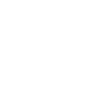 Website Development revenue and roas where applicable